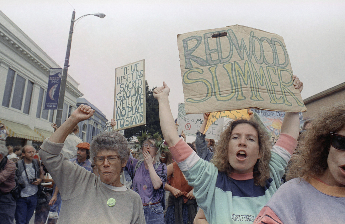 The Lessons of the Redwood Summer Protests, 30 Years Later