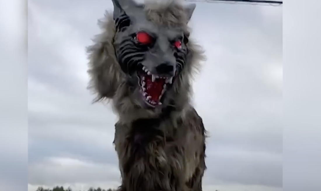 Japanese Town Employs Robot Wolves to Frighten Away Wild Bears