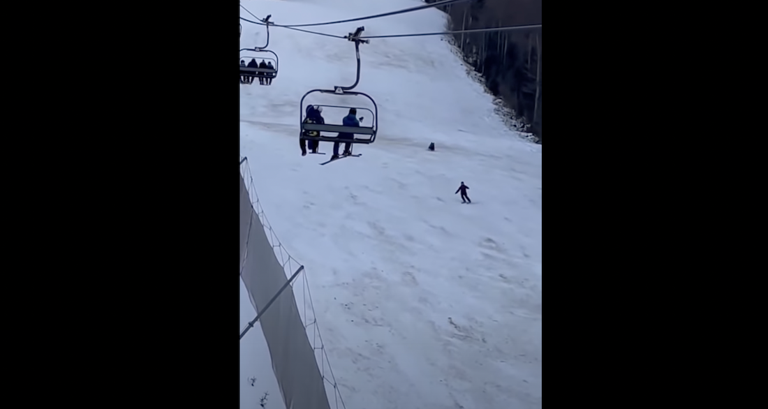 Bear Chases Skier Down Resort Run